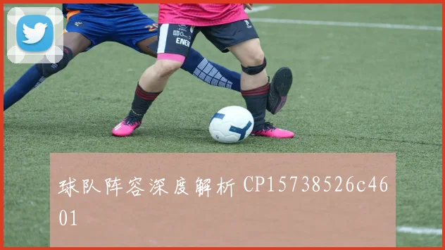 球队阵容深度解析 CP15738526c4601